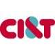 CI&T